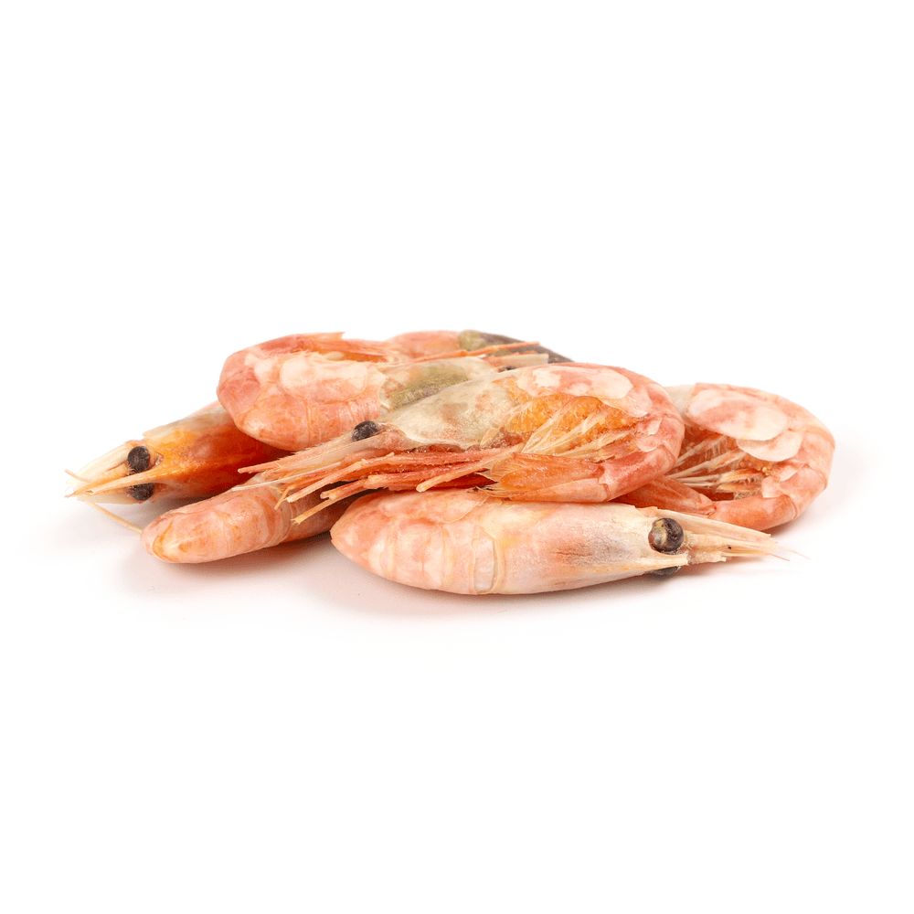 Морепродукти та молюски