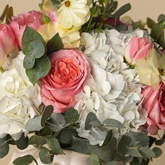 COLECCIÓNES ESPECIALES