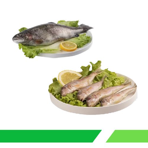 თევზი და ზღვის პროდუქტები