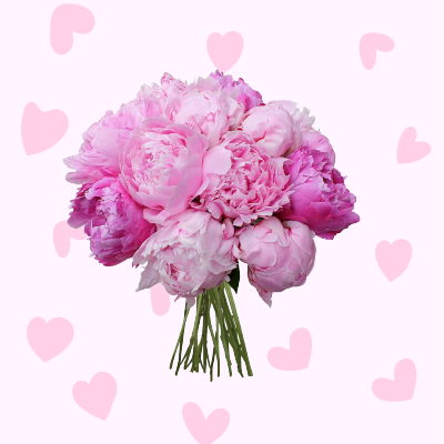 Յուրահատուկ ծաղկեփնջեր