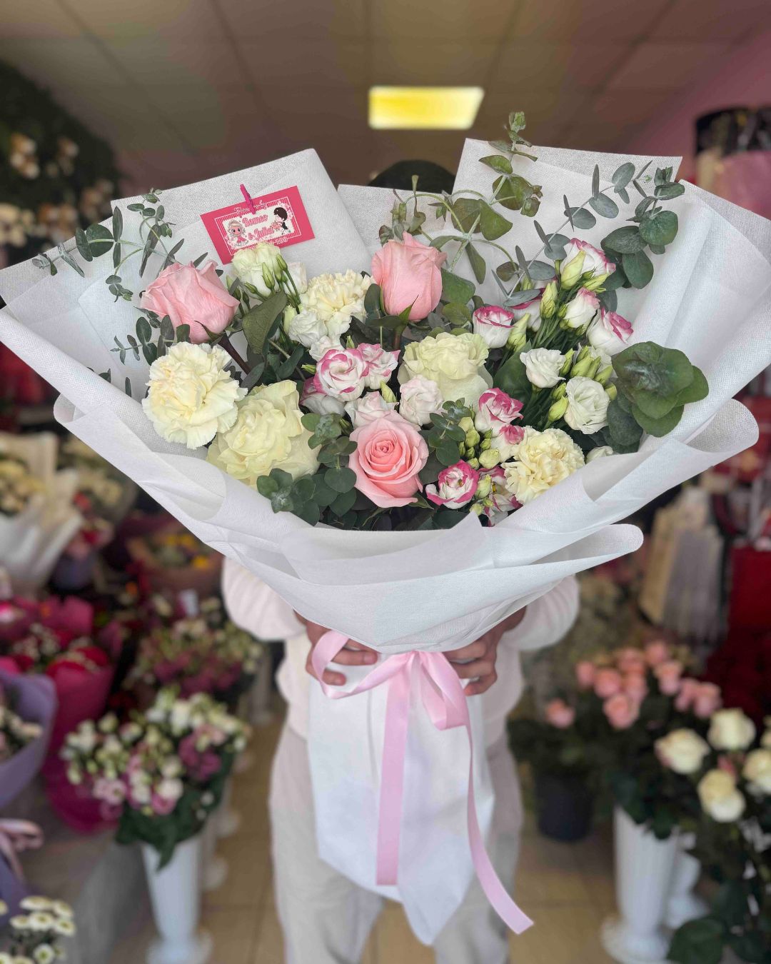 Нови предложения