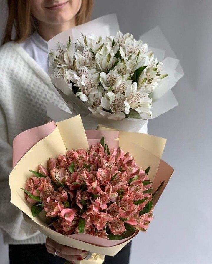 Альстромерія 