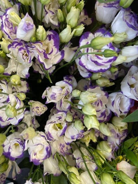 Lisianthus