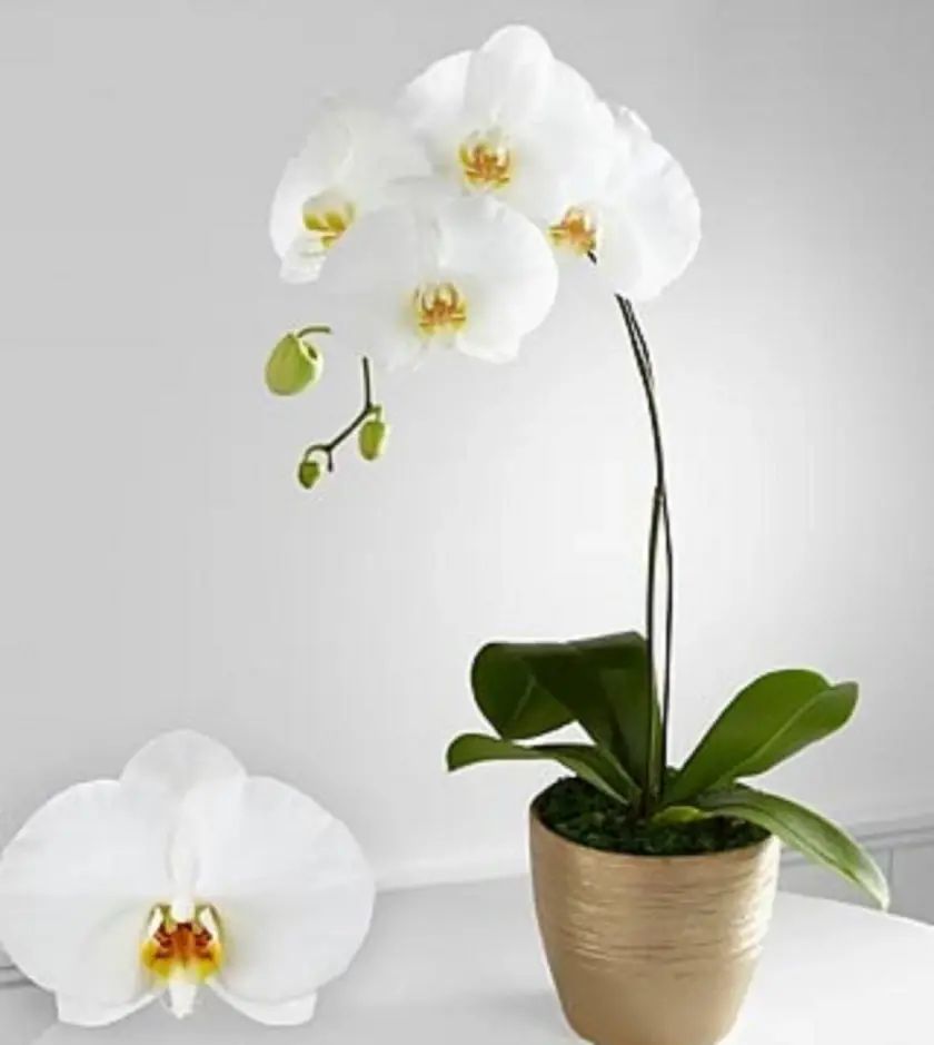 Za Vaš dom i kancelariju