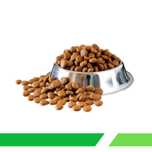 ძაღლის საკვები‎