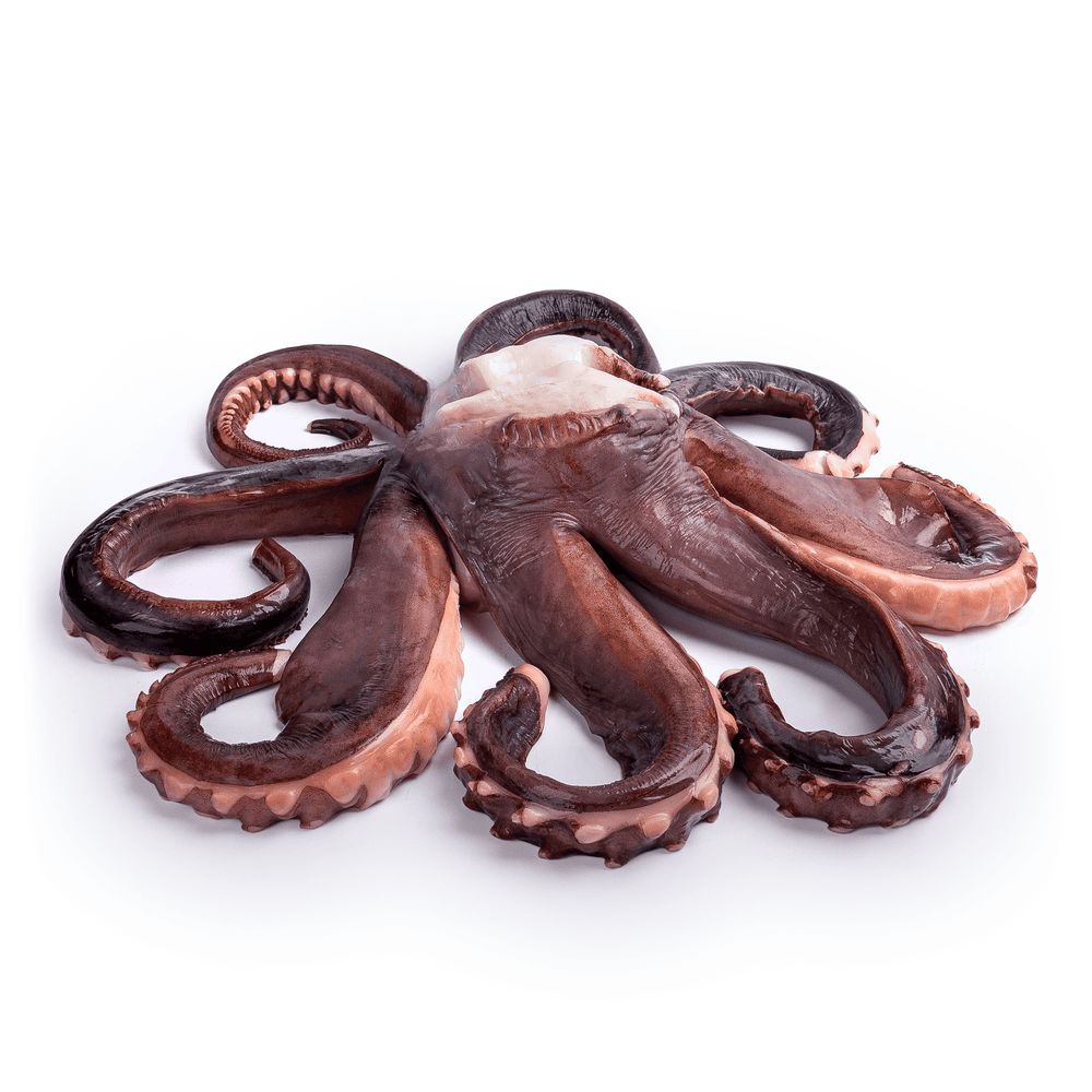 Морепродукти та молюски