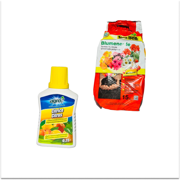 ODRŽAVANJE I NEGA BILJAKA