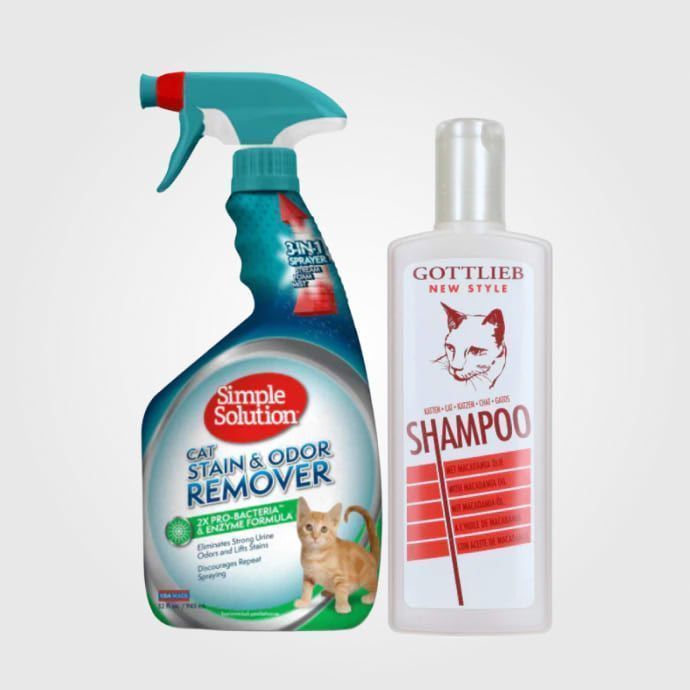 Întreținere pisici