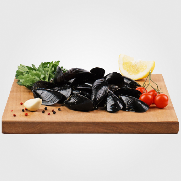 Molluschi e crostacei.