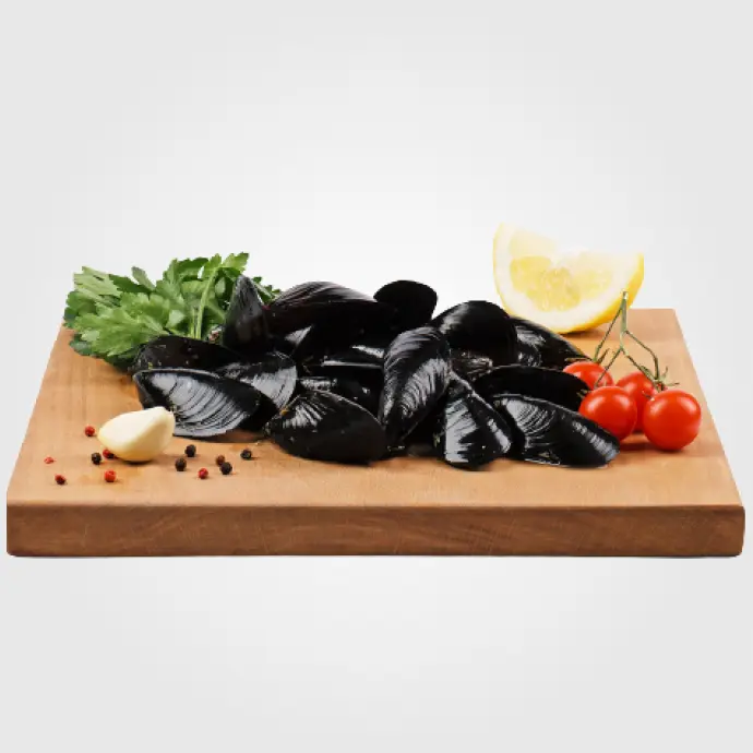 Molluschi e crostacei.