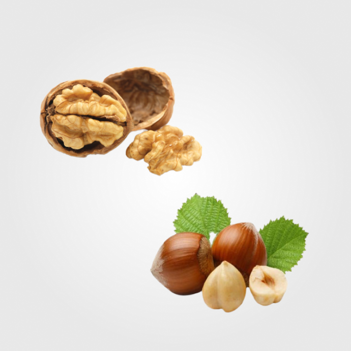 Frutta secca e disidratata