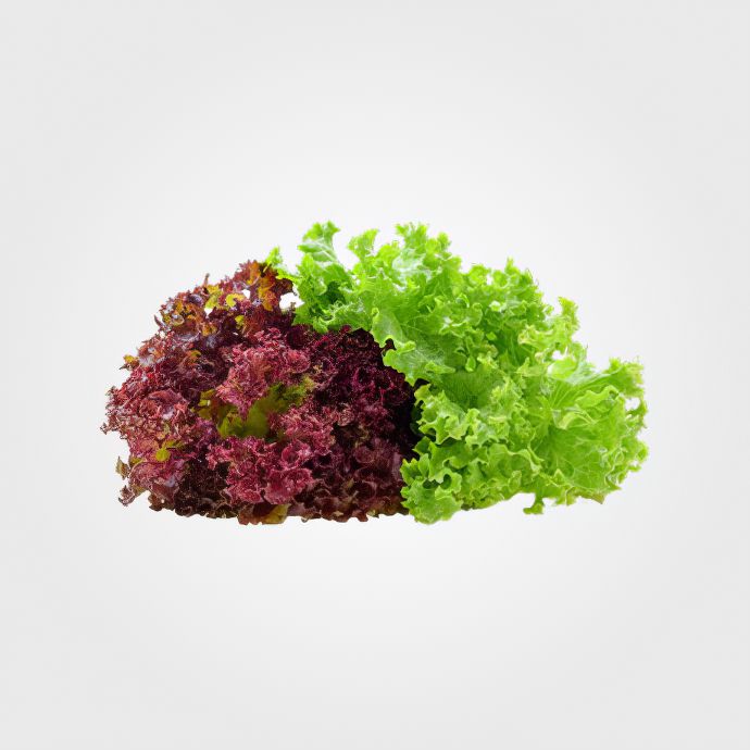 Зелень та салати