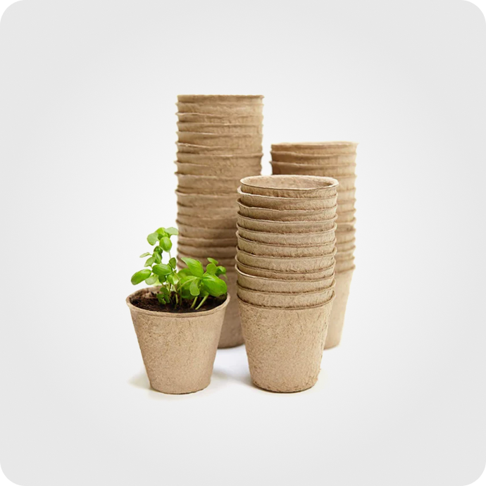 ნიადაგი