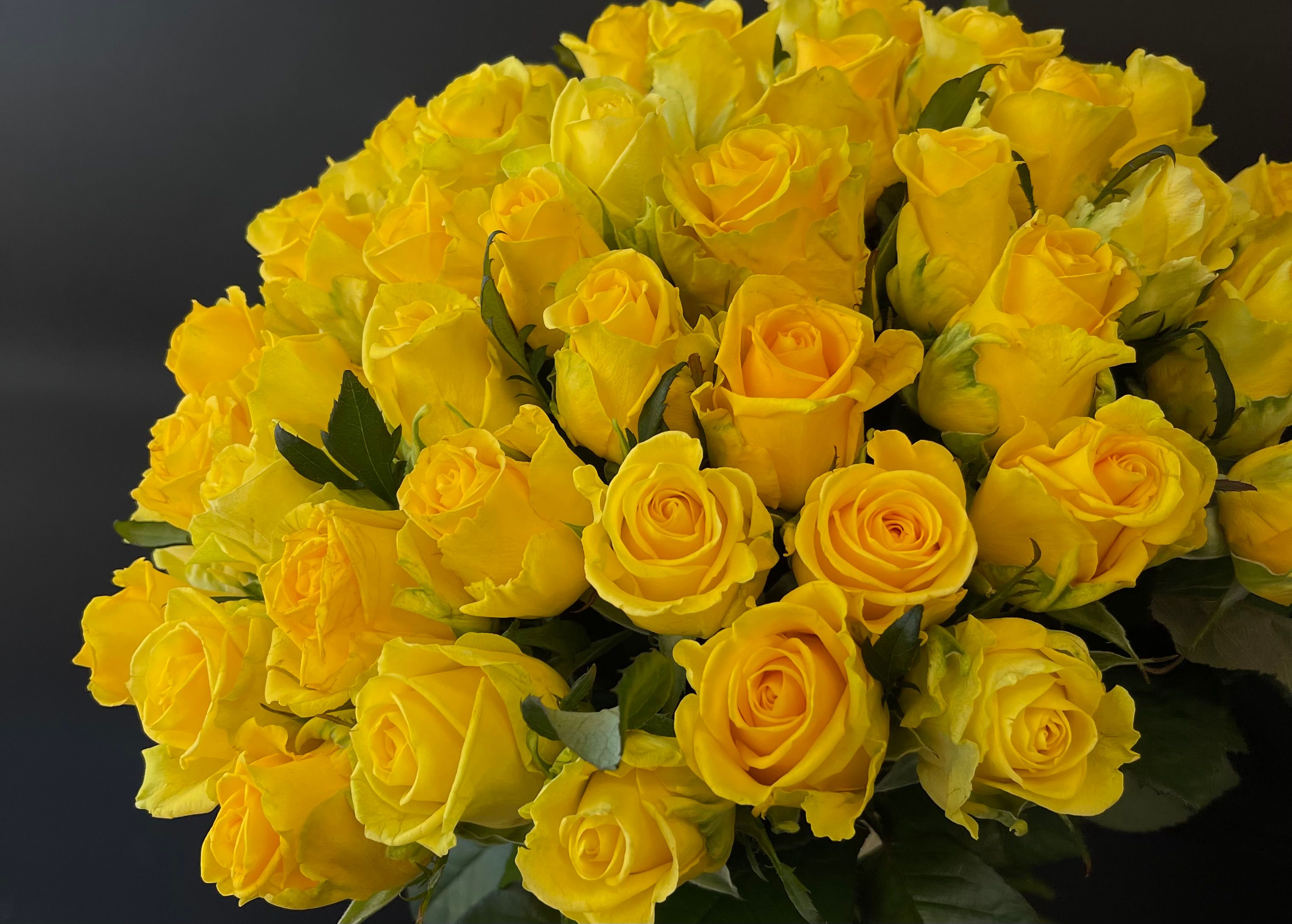 ЖОВТІ ТРОЯНДИ 