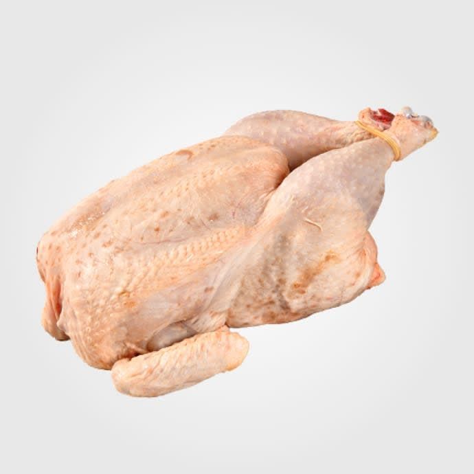 Pollo