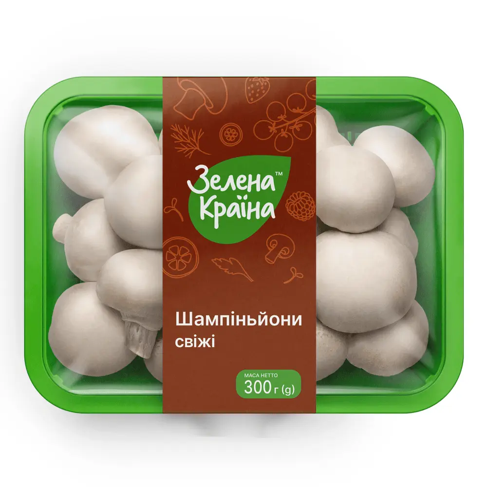 Гриби