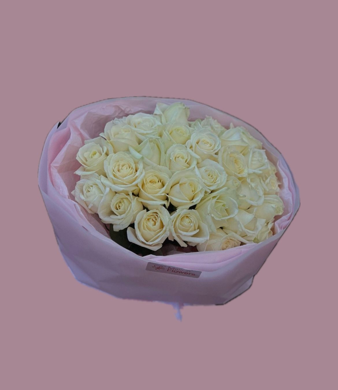 БІЛІ ТРОЯНДИ 