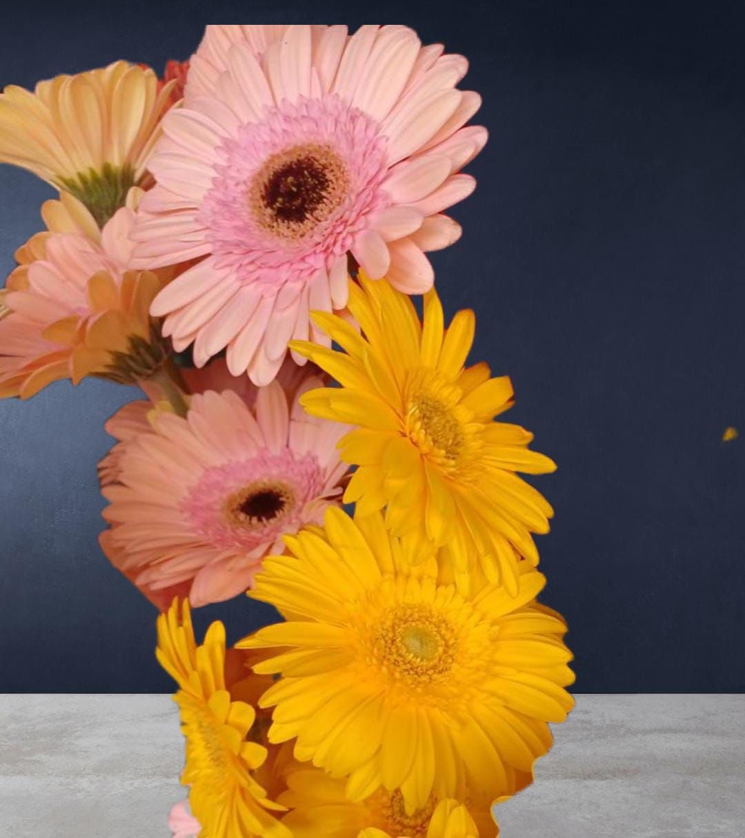 Piante & Petali. Per la tua casa, non confezioni regalo.