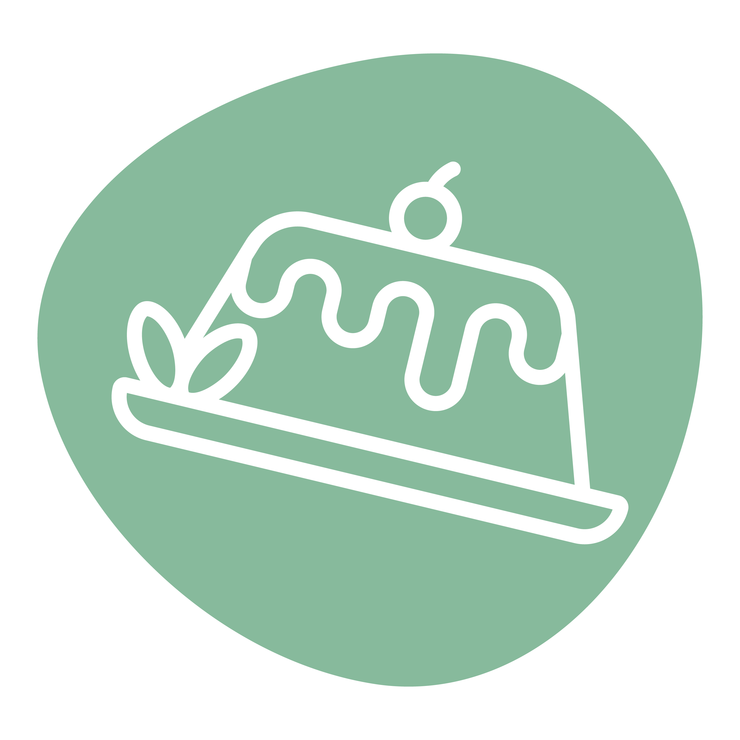 ტორტი და ტარტი.