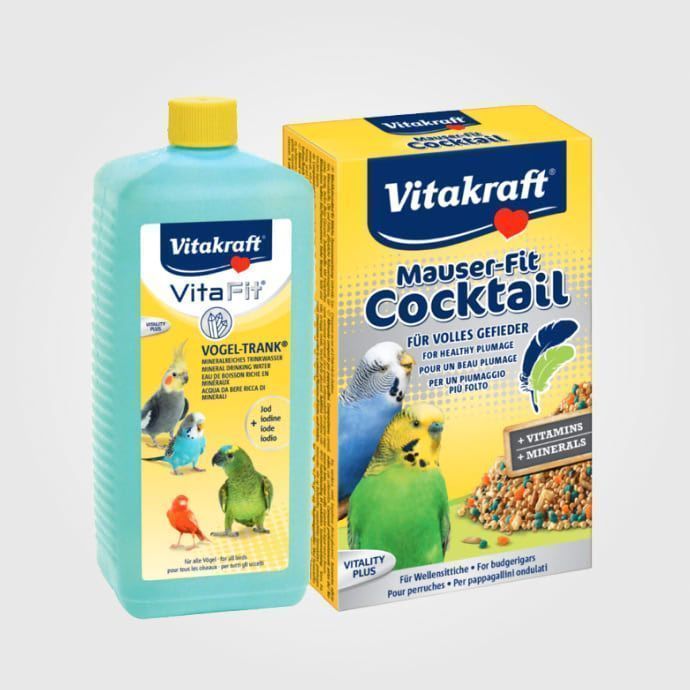 Întreținere păsări