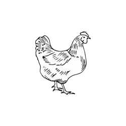 Aves y pollo - Carne de Equino y el Corte de Sebas