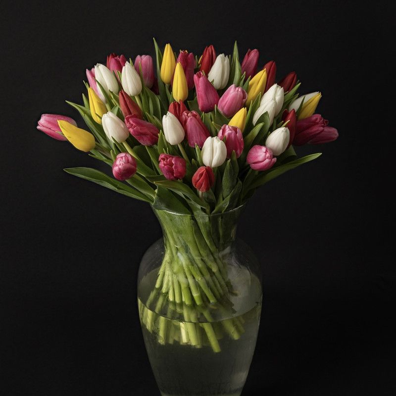 TULIPANES