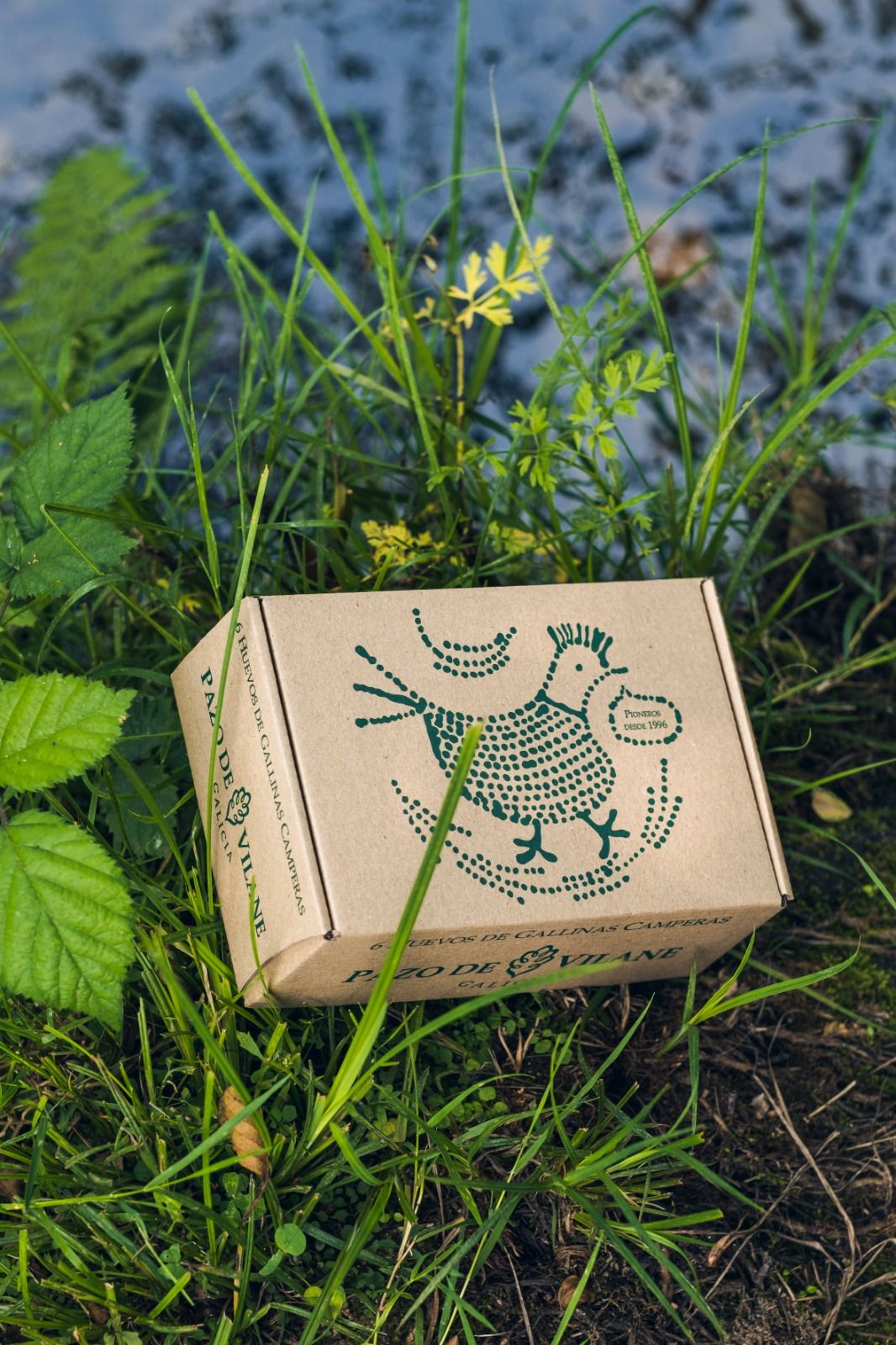 Huevos camperos  Pazo de Vilane 