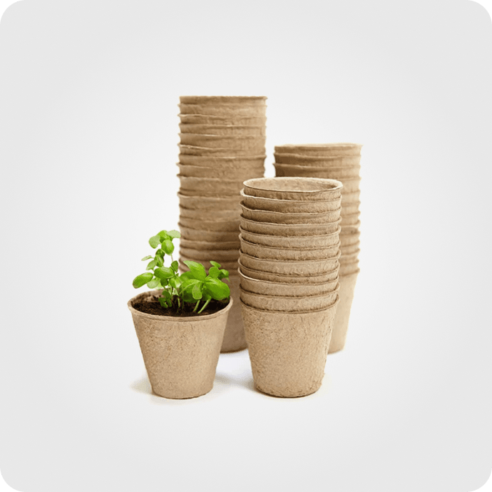 ნიადაგი