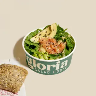 Raw Salmon Plate