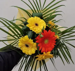 Buchet 5 gherbera 