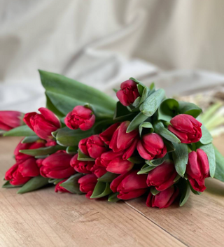 Ramo De Tulipanes Rojos