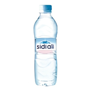 Sidi Ali