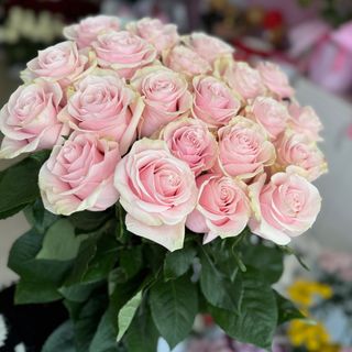 11 бр. Нежно розови рози с панделка