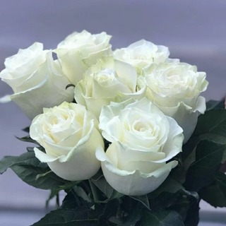 Bukiet 5 białych róż PREMIUM EKWADOR 