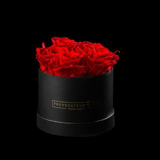 Caja de 12cm con Rosas Preservadas Red