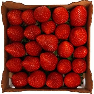 FRUTERIA FRESON CAJA 600 G