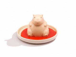 Capybara pudding