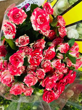 mazzo di rose ramipicante