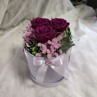 Flower Box Trajna ruža 41