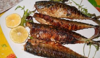 Скумрия на скара със зелева салата