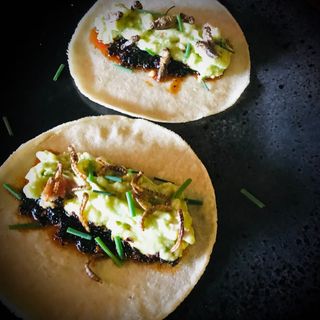 Tacos de Gusano y Chapulin