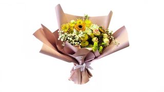 #7 სინათლის ფურცლები