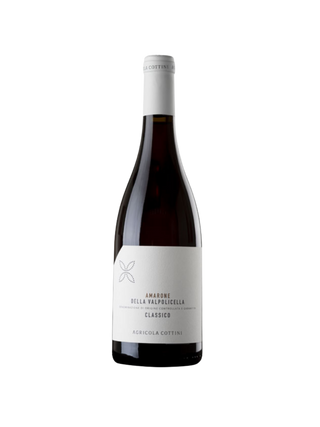 Amarone della Valpolicella 2017 DOC Agricola Cottini