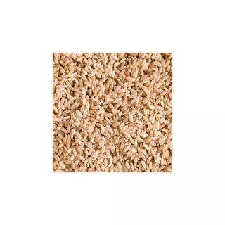 Extra Arroz Integral