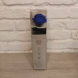 Rosa Azul Eterna