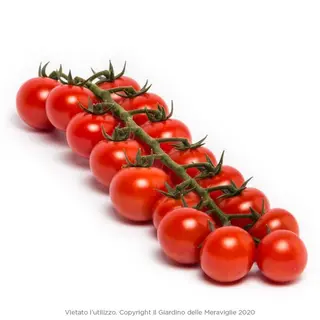 Pomodoro Ciliegino 400 gr 