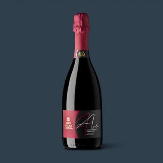 Asolo Prosecco Superiore DOCG Extra Dry, Tiziano Line