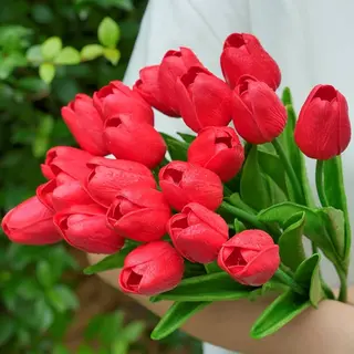 20 pezzi tulipani rosso