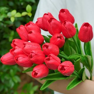20 Pezzi tulipani rosso