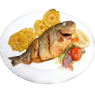 Dorada